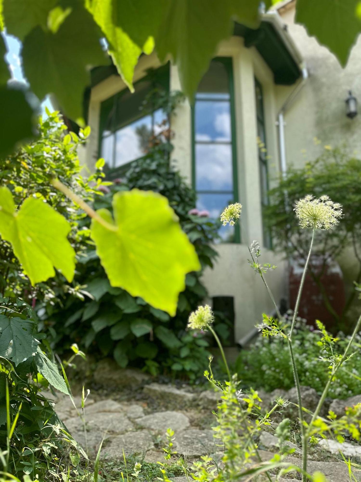 Ferienhaus Idevarlak In The Woods Budapest