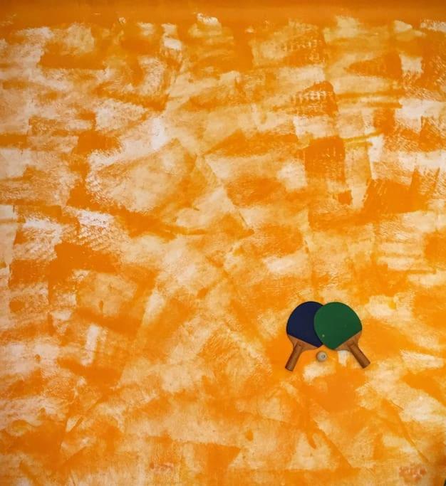 Ping Pong Appartamento