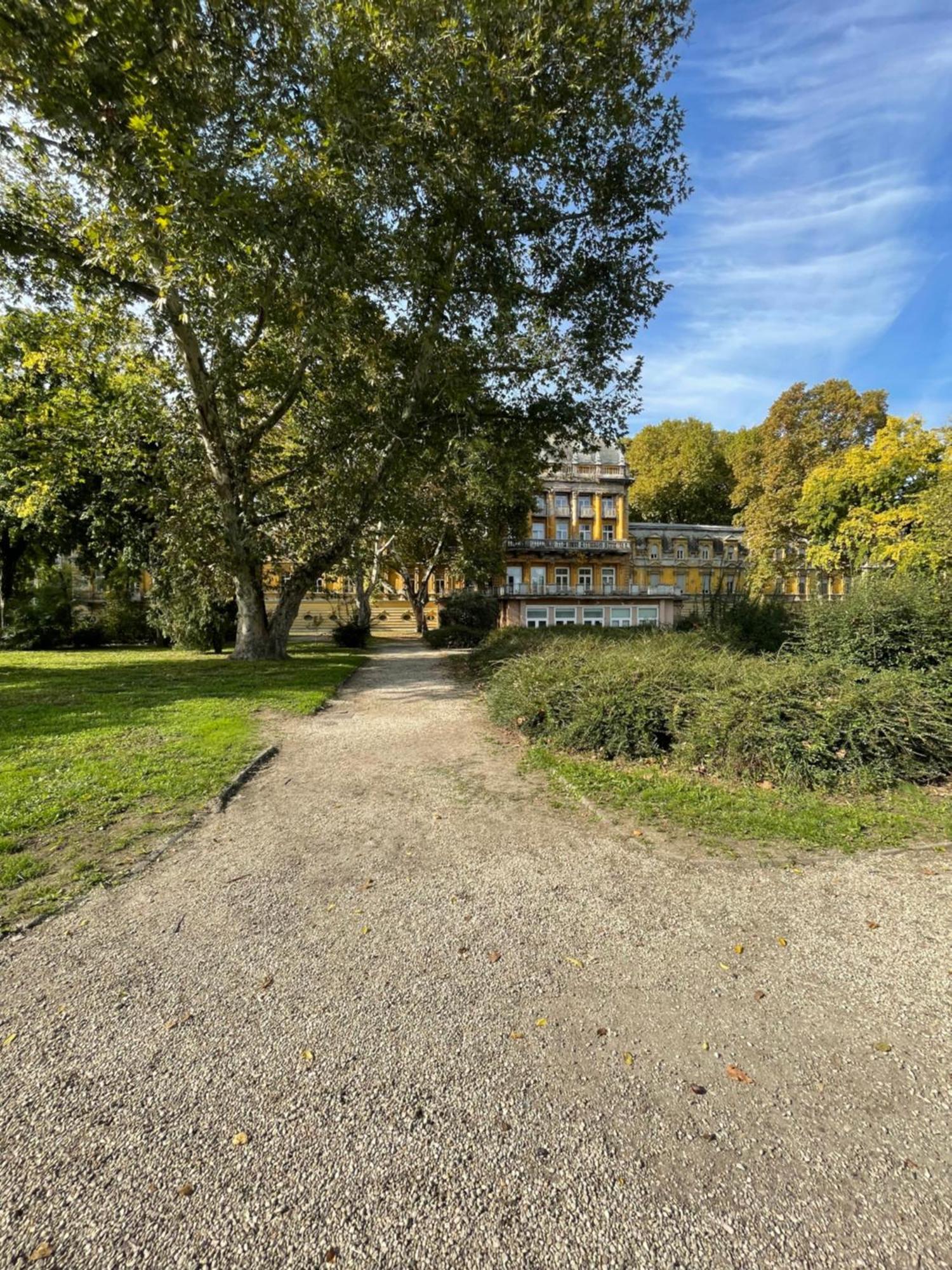 Apartamento Margaret Next To The Lukacs With Panorama Danube *