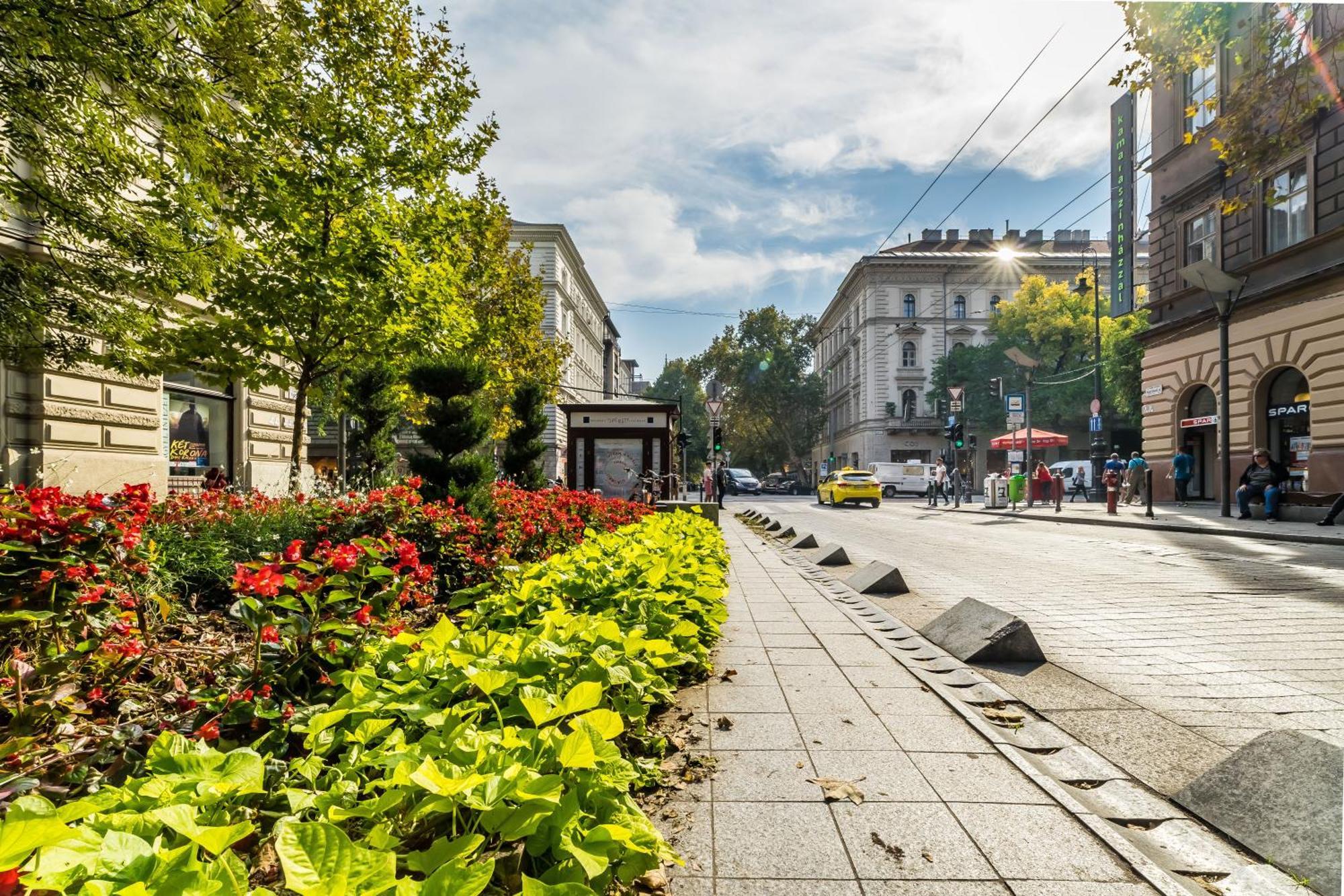 Cozy Little Flat In The Center Budapest