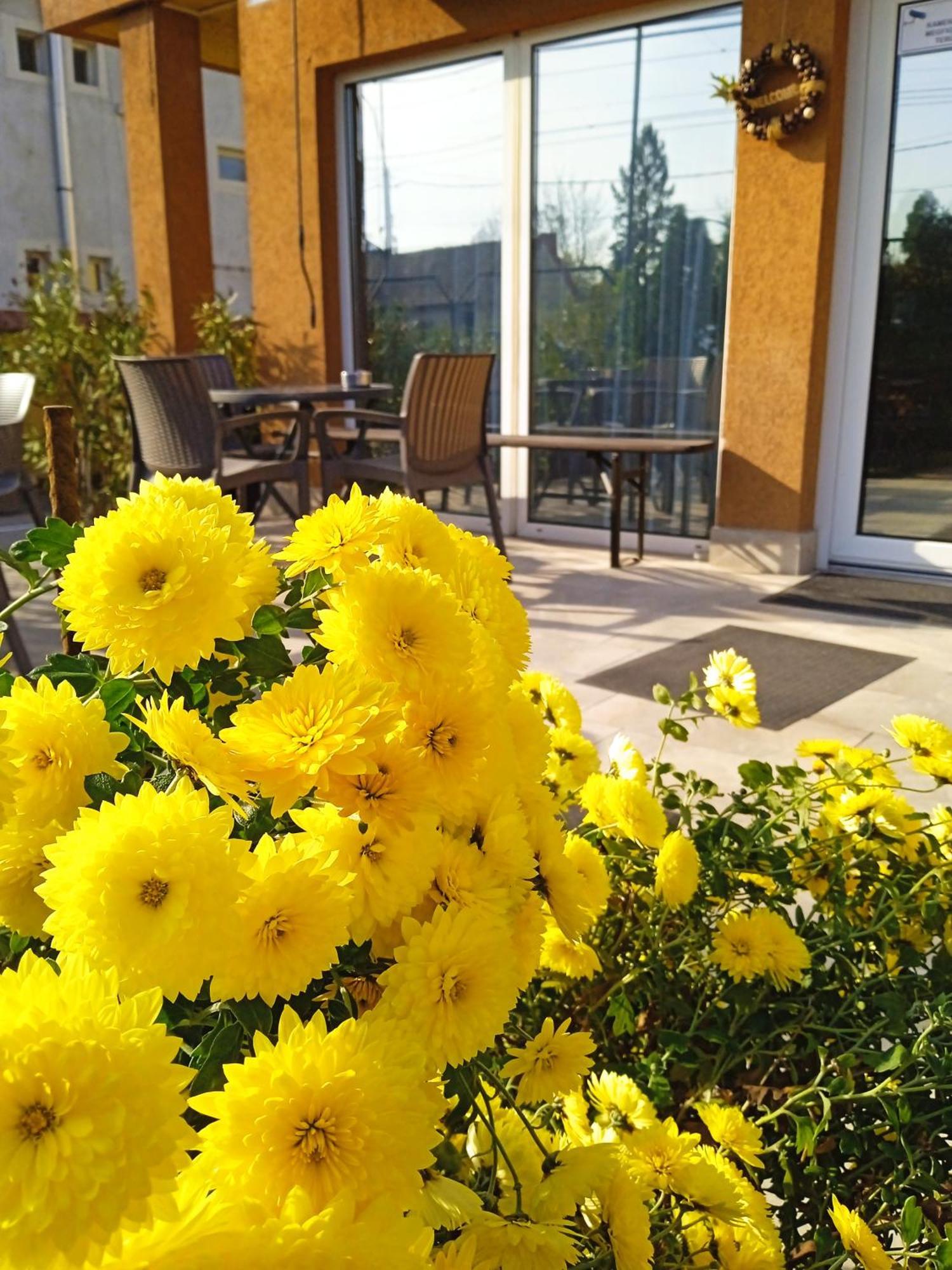 Bed & Breakfast Alfred Panzio Budapest
