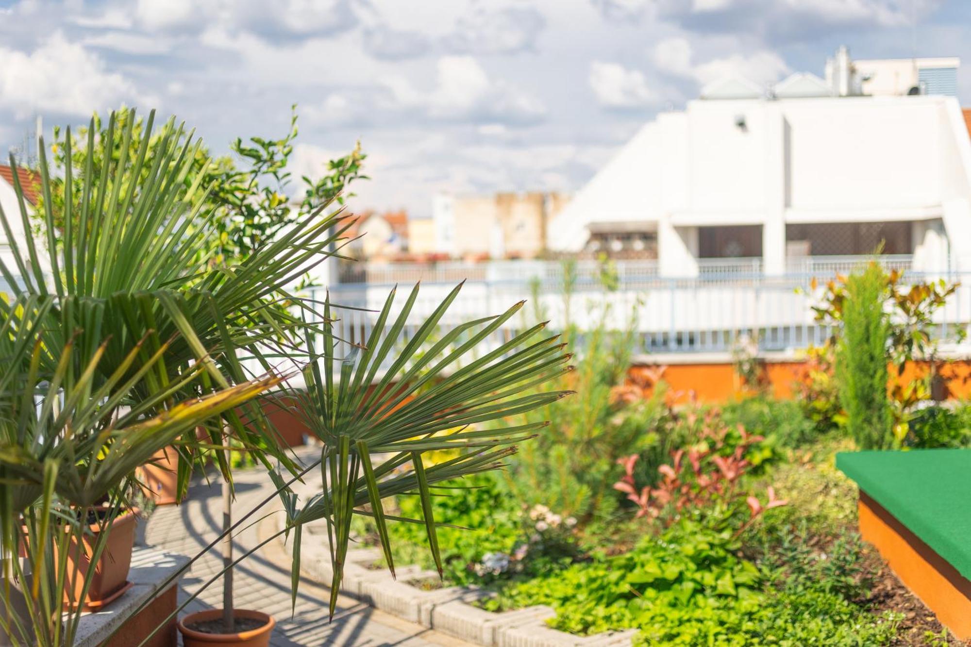 Rooftop City With Deep Garage Budapest