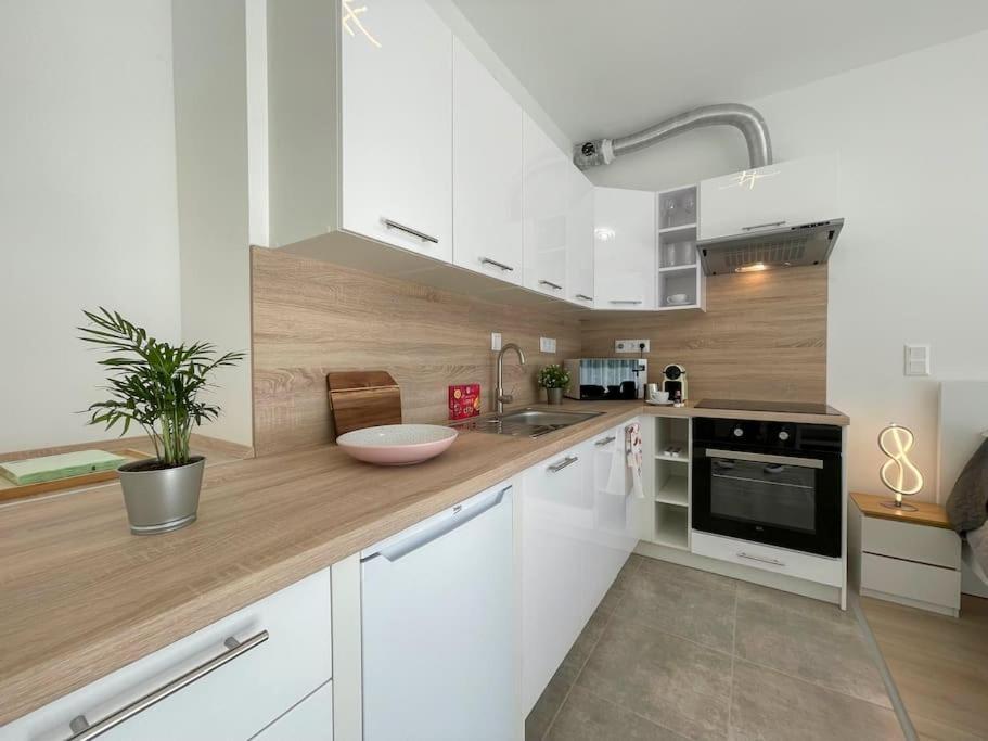 Brand New Danube W Balcony And Free Parking Apartment