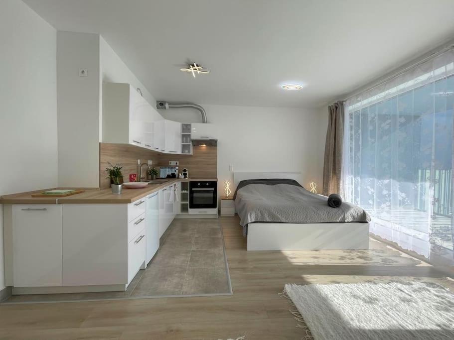 Bright Riverside Studio, Balcony, Free Parking, Air Conditioning Budapest