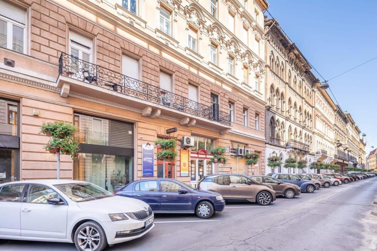 - Large And Comfy Apartament *