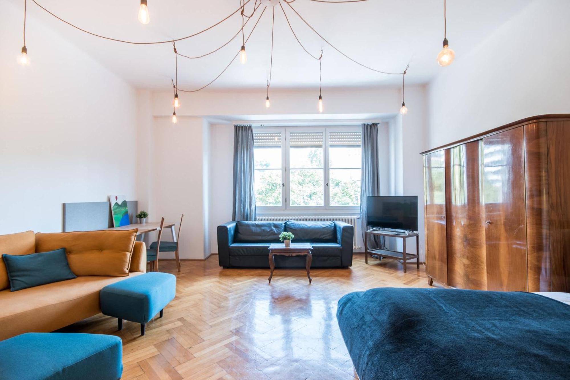 Apartmán - Spacious - Classic Charm Budapešť