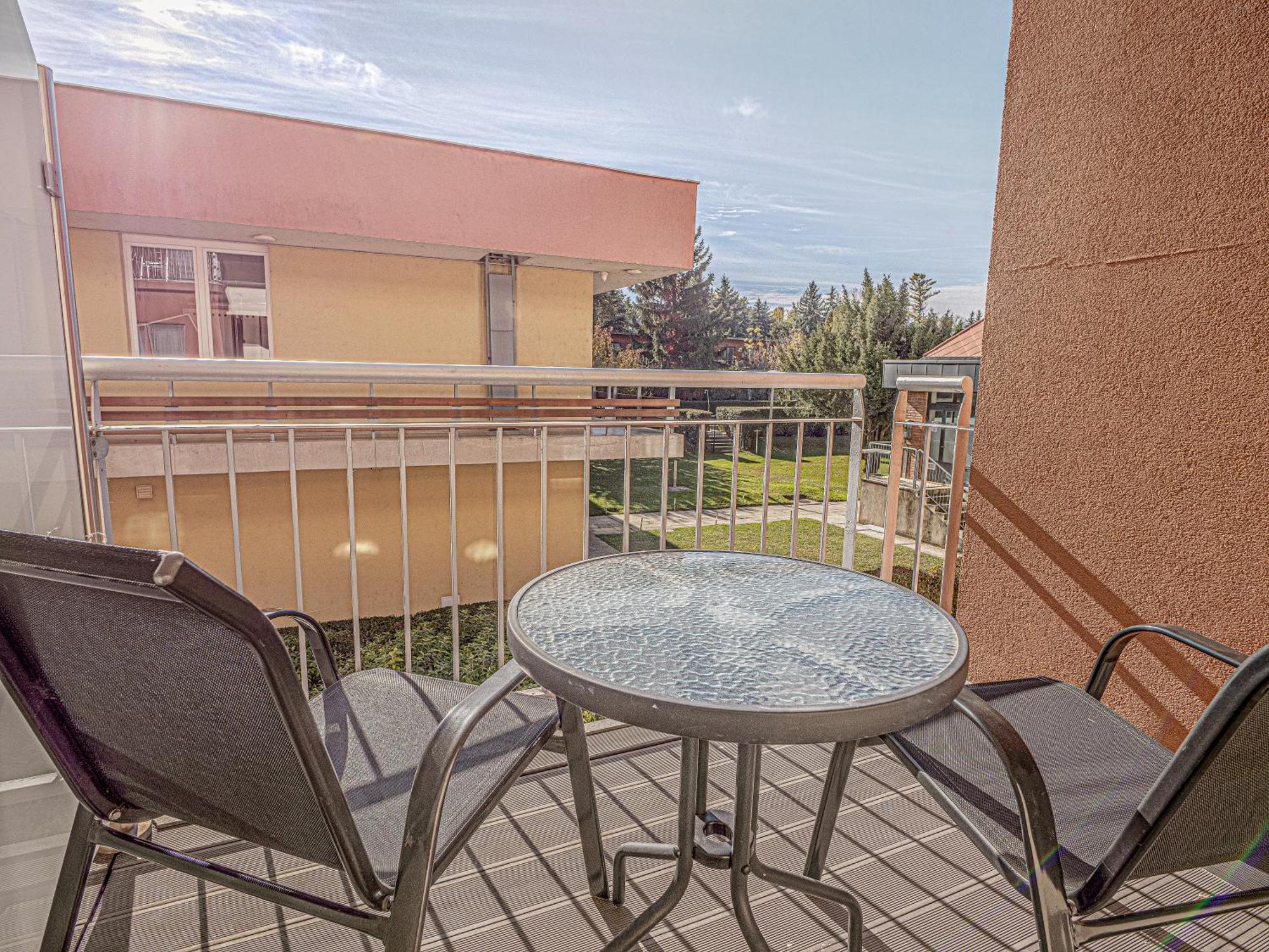 Hotel Wellness With Sauna Park 4*