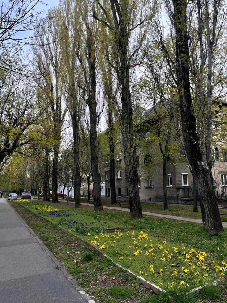 Albert Apartment Apartman Budapest