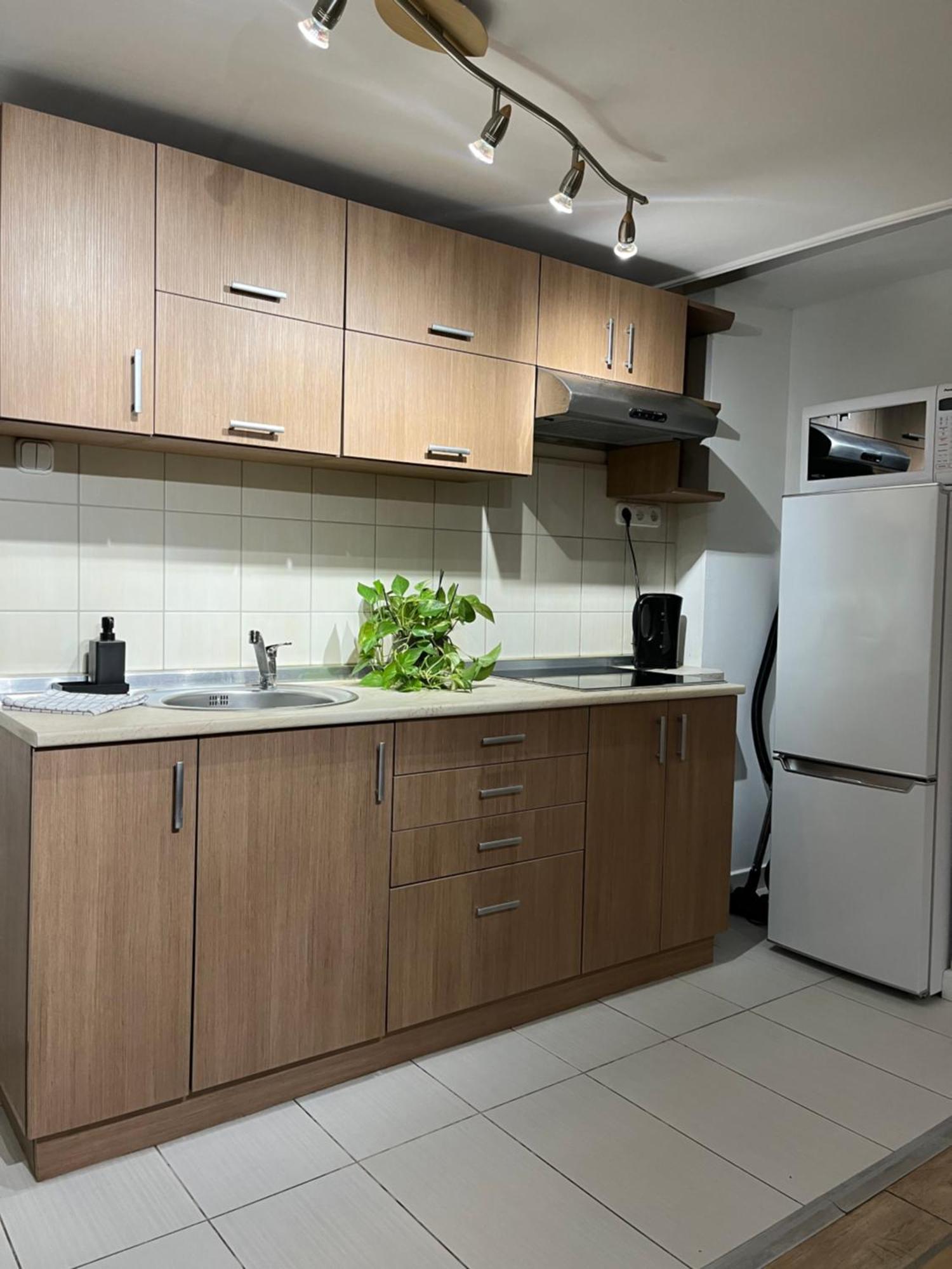 Apartament E 37 Downtown Whit Garage Opcional Budapeszt