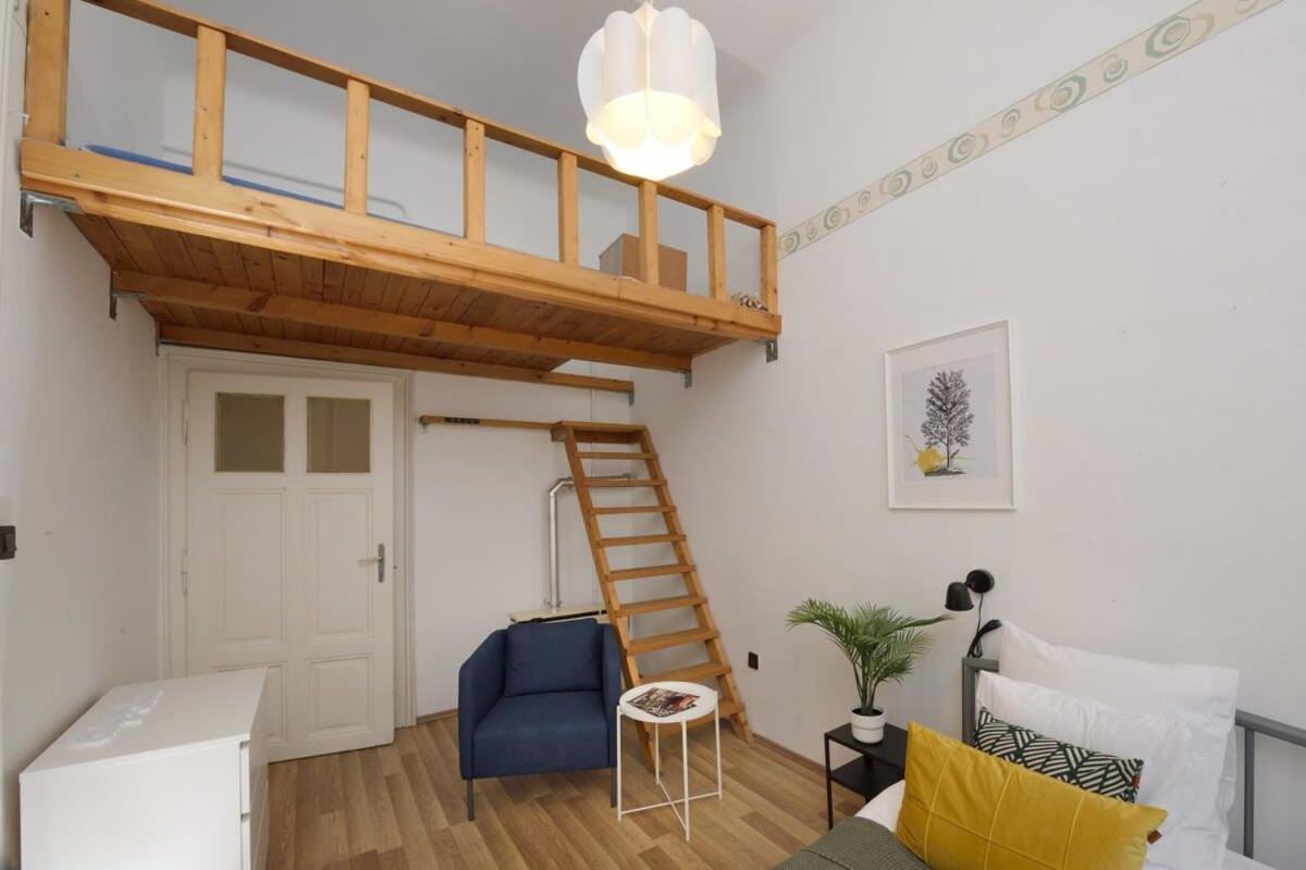 Spacious Basic In The Center * Boedapest