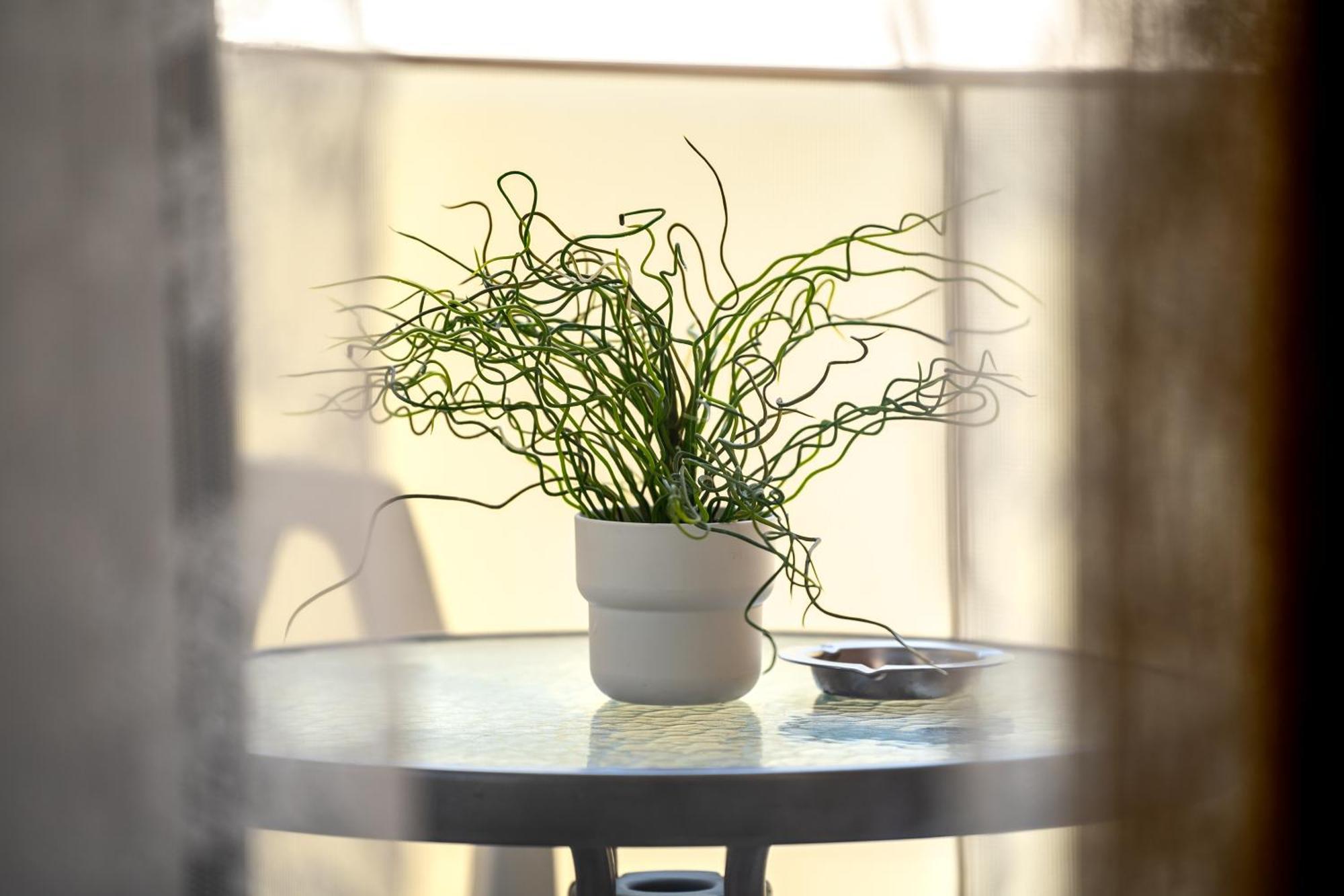 Elegant Nest One