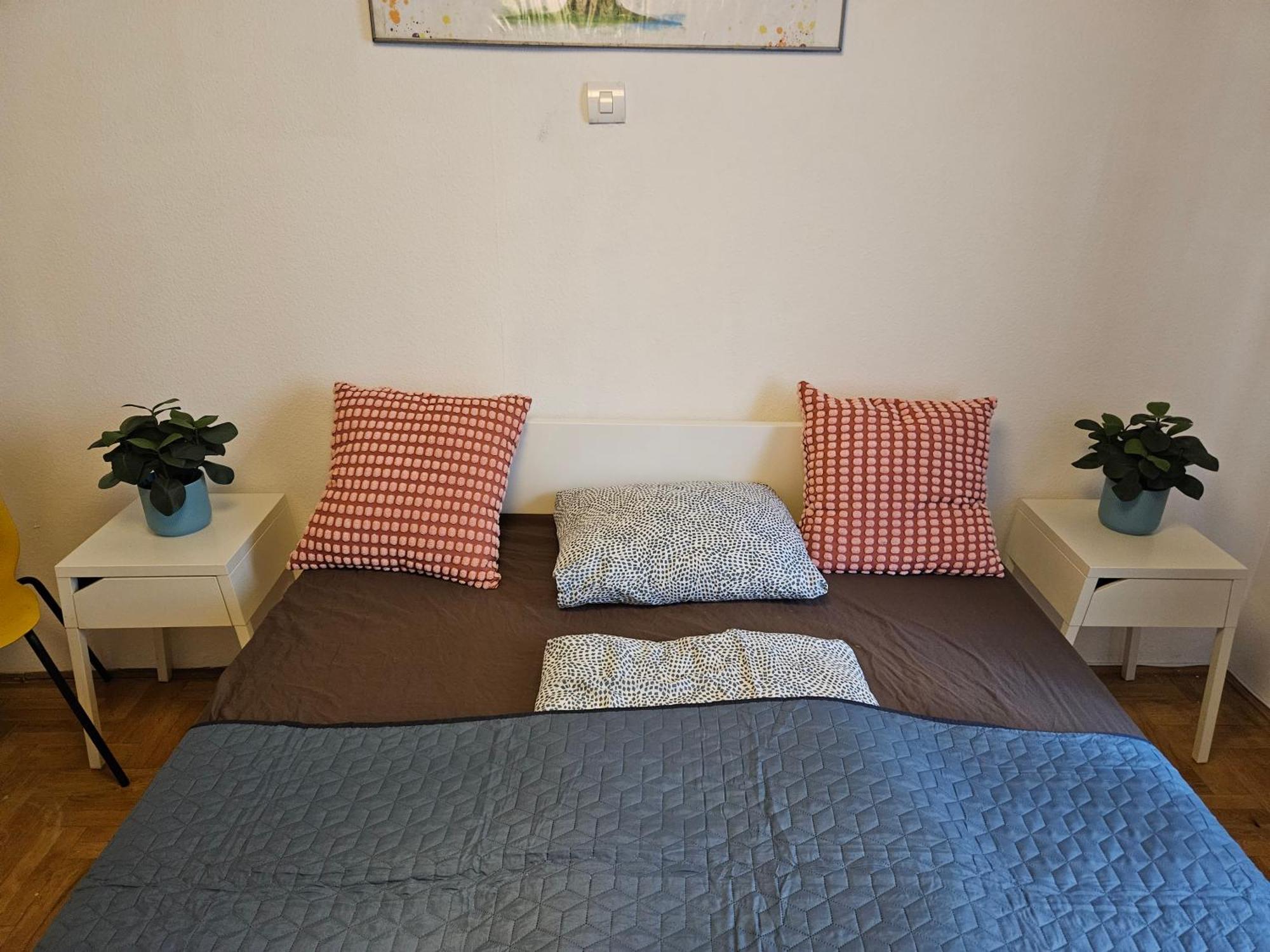 Downtown Gem Hostal