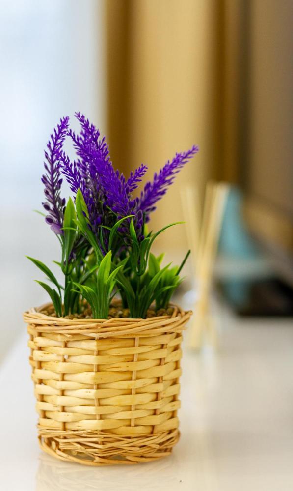 Luxury On Andrassy Avenue - A7 *