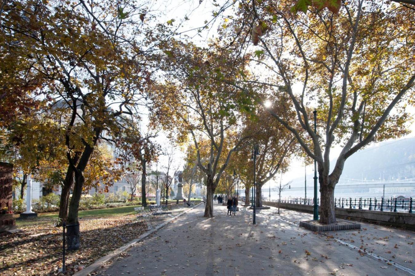 Beauty - By The Danube Budapest