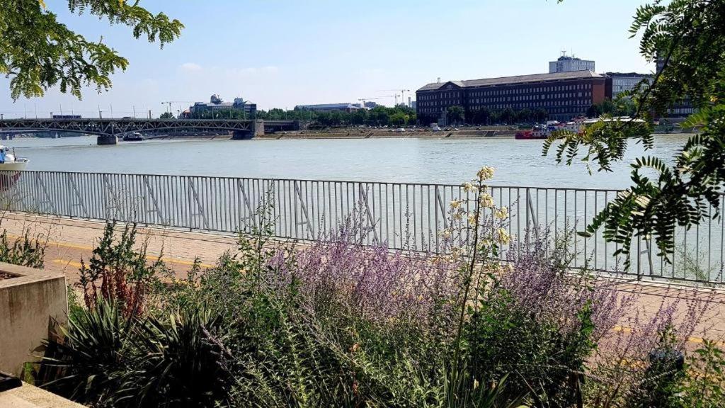 Danube Dream Appartamento