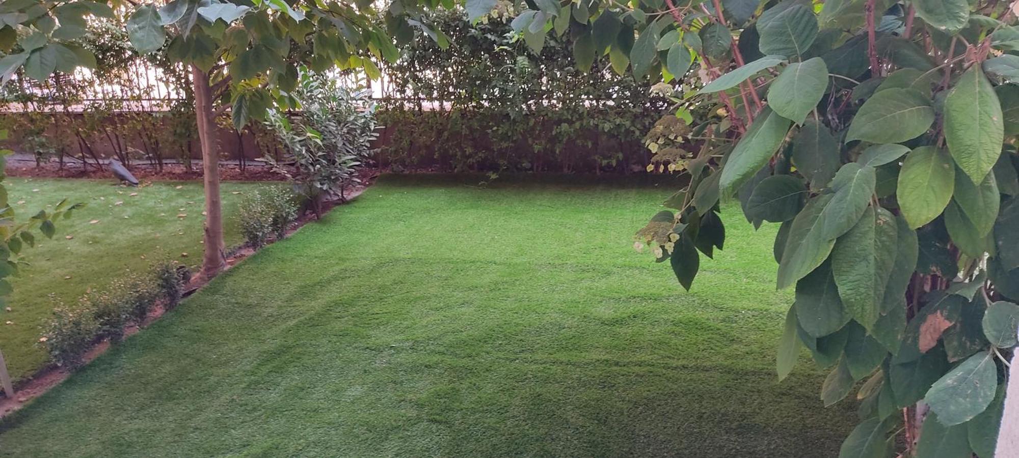 In The Heart Of Parliament 2 Min 47m2 And Garden *