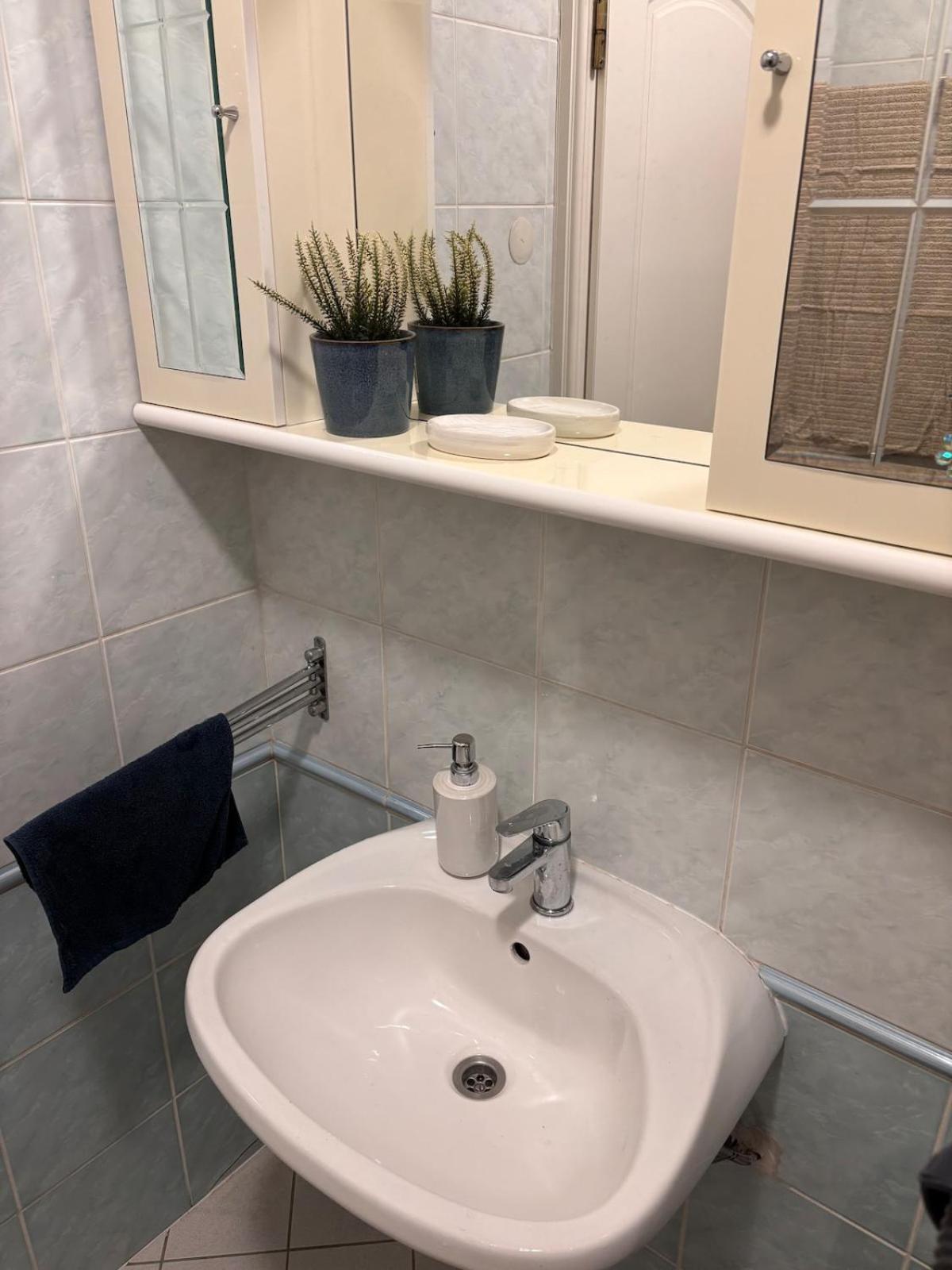 Zsigmond Gardens Cosy Flat Appartamento