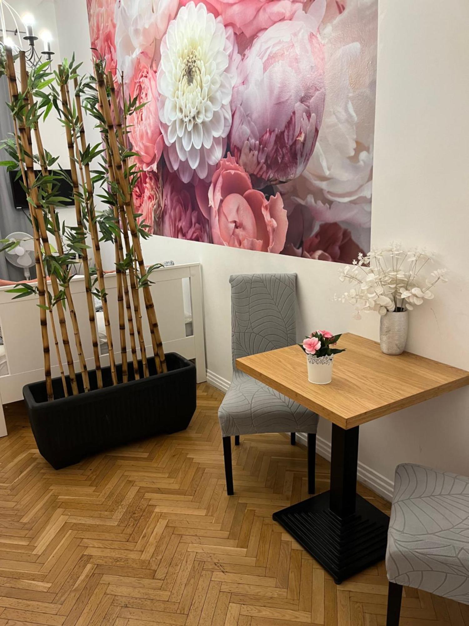 Apartman Millionrosesvintage Vaci Street Budapest
