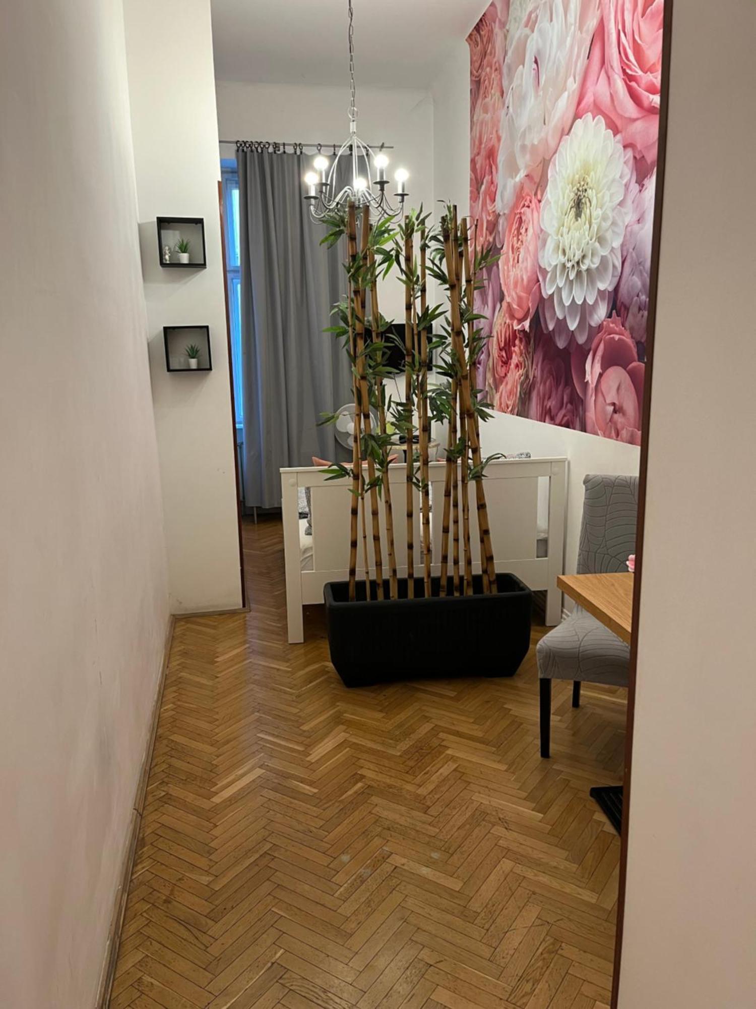 Apartman Millionrosesvintage Vaci Street