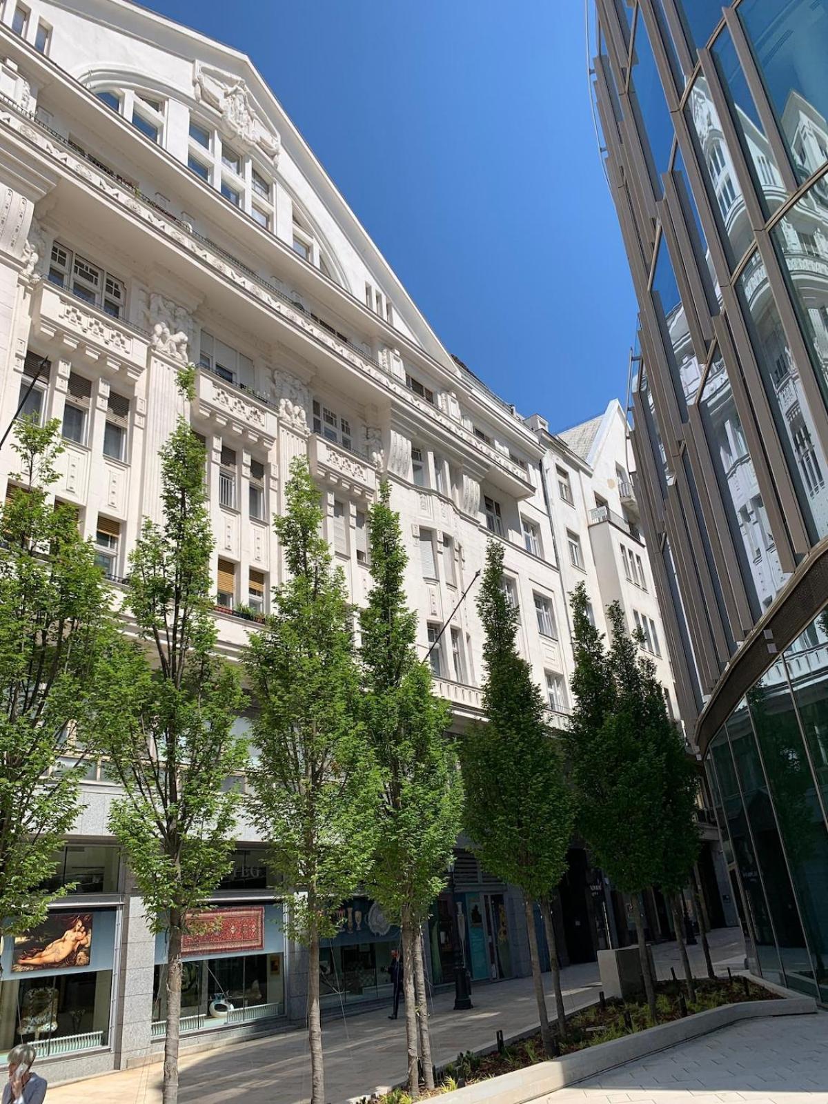 Appartamento Lovely In The Heart Of Downtown *
