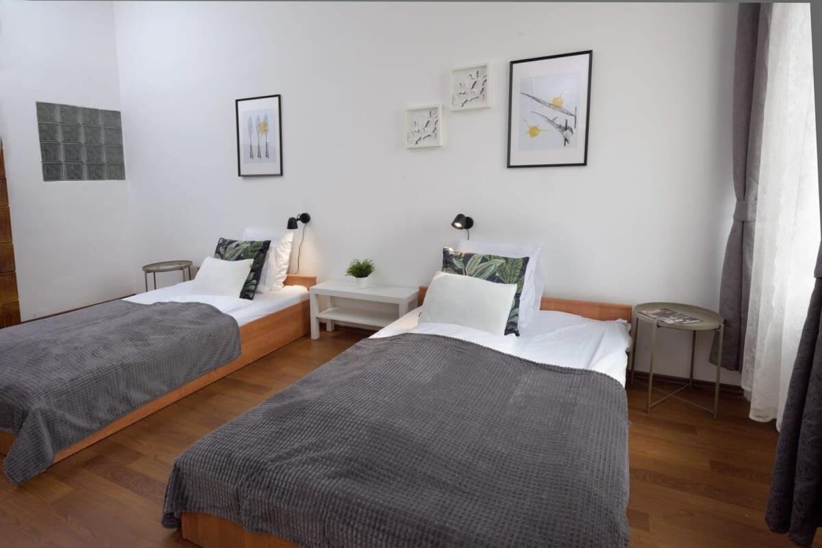 Appartamento Large Cosy *