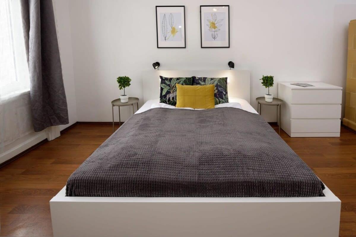 Large Cosy Appartamento Budapest