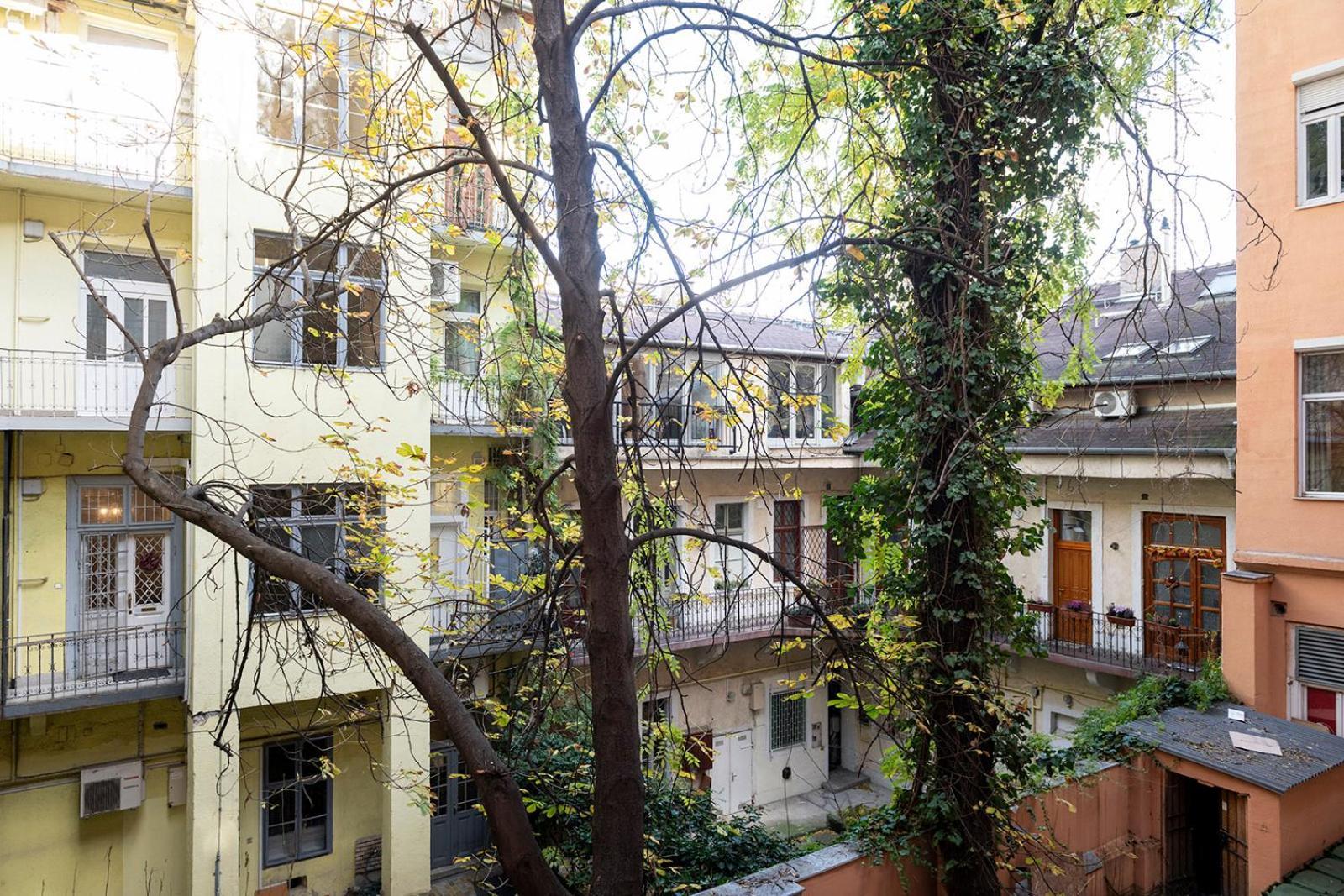 Kalef Budapest
