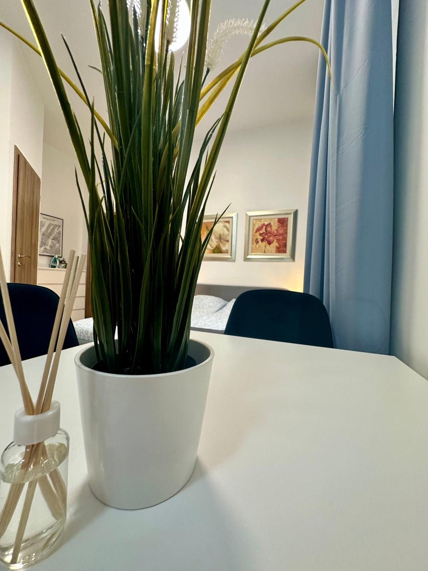 Appartamento Cozy Centre