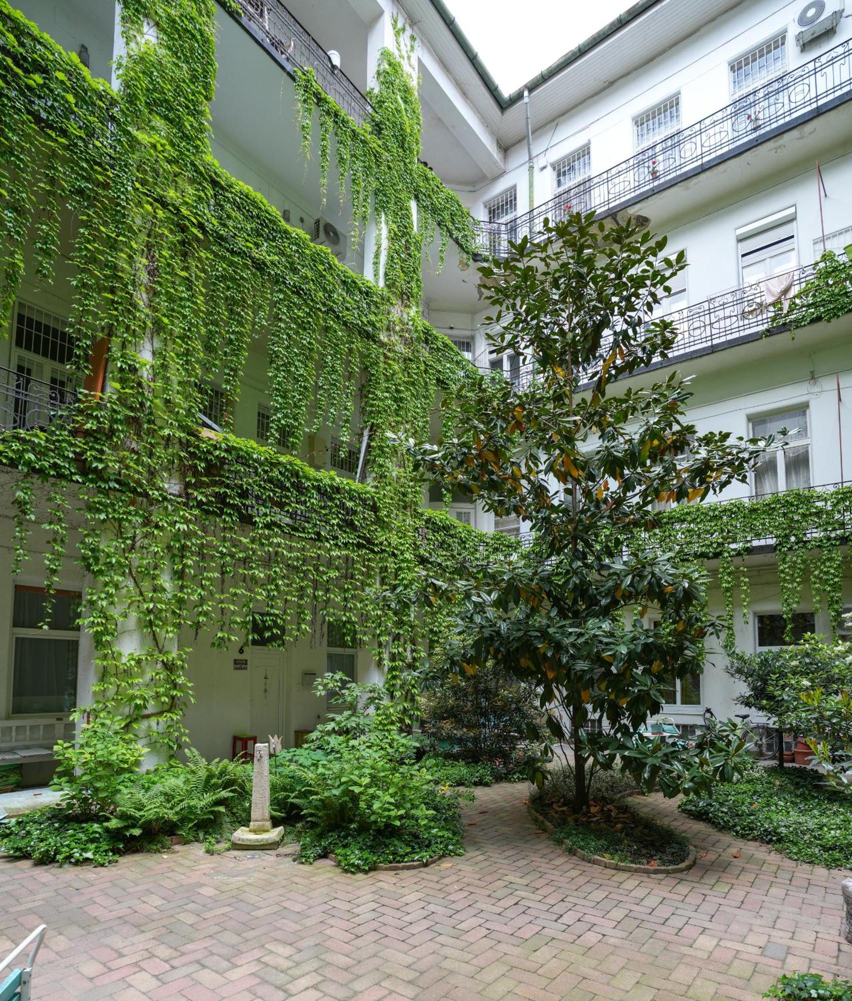 Lägenhet Near Park Only 5 Minutes Walk , Where Find The World Famous Szechenyi Thermal Bath Spa, Capital Circus , Museums The Is Modern And Newly Renovated ,in A Quiet And Peaceful Oasis With Ac ,smart Tv, High Speed Internet *