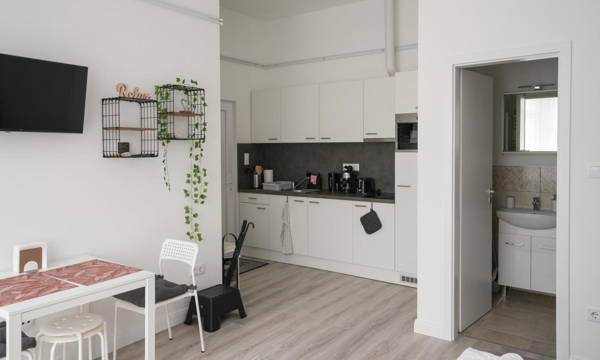 Apartamento A Lovley Newly Decorated Fully Equipped Walking Distance To The Park Where Will Find The World Famous Szechenyi Thermal Bath Spa, Museums , And The Capital Circus , Ac, Smart Tv, High Speed Internet Budapest
