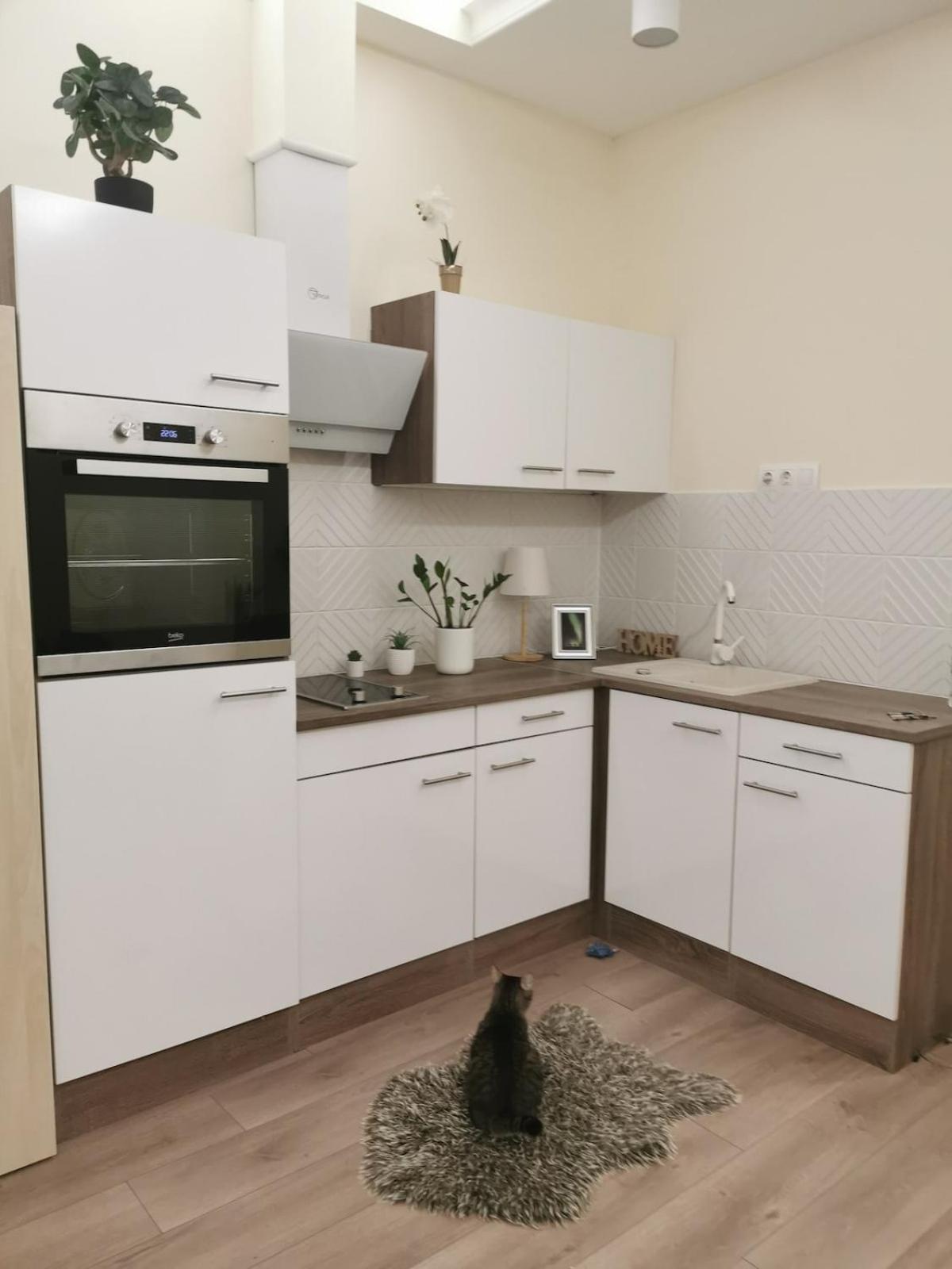 Appartamento Luxury *