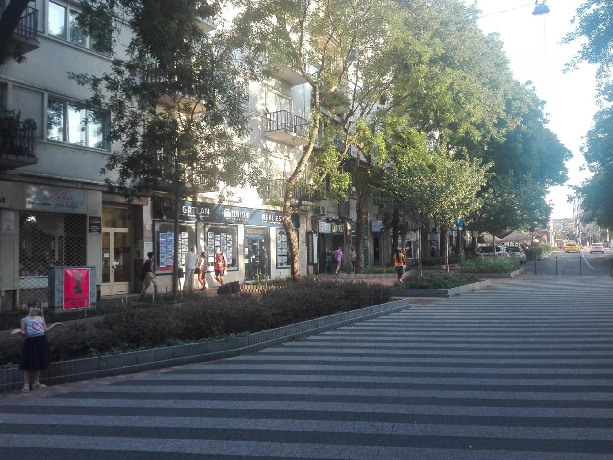 Alloggio in famiglia Pozsonyifirst Privat Margit Bridge Budapest