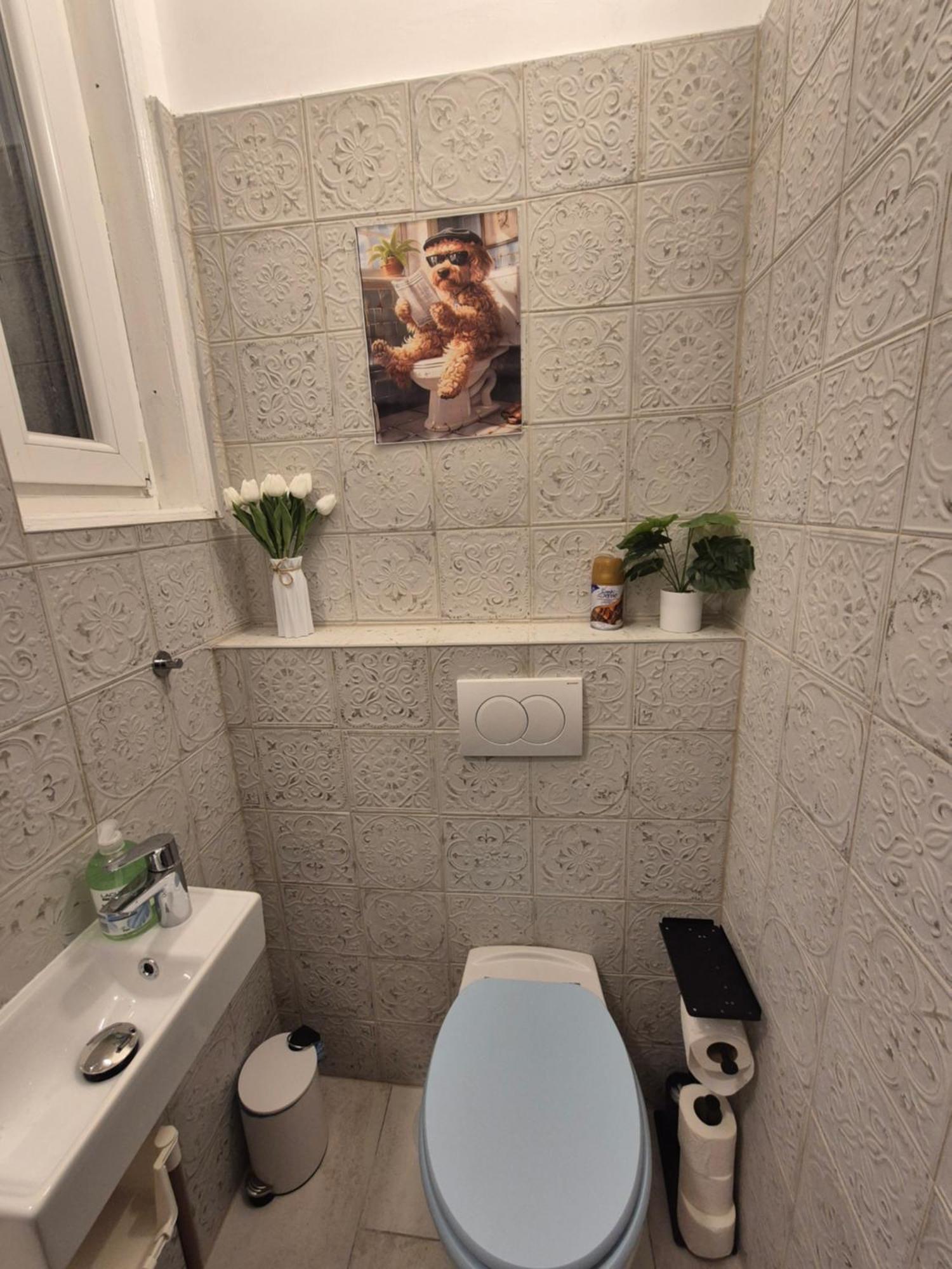 Kolibri * Budapešť