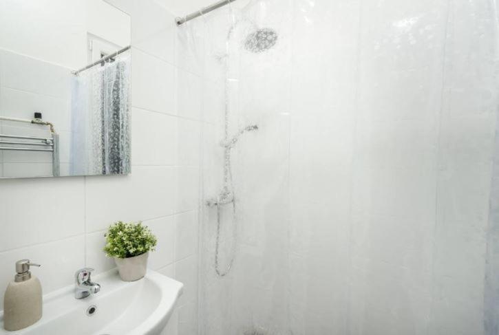 Apartment Dessy Downtown *