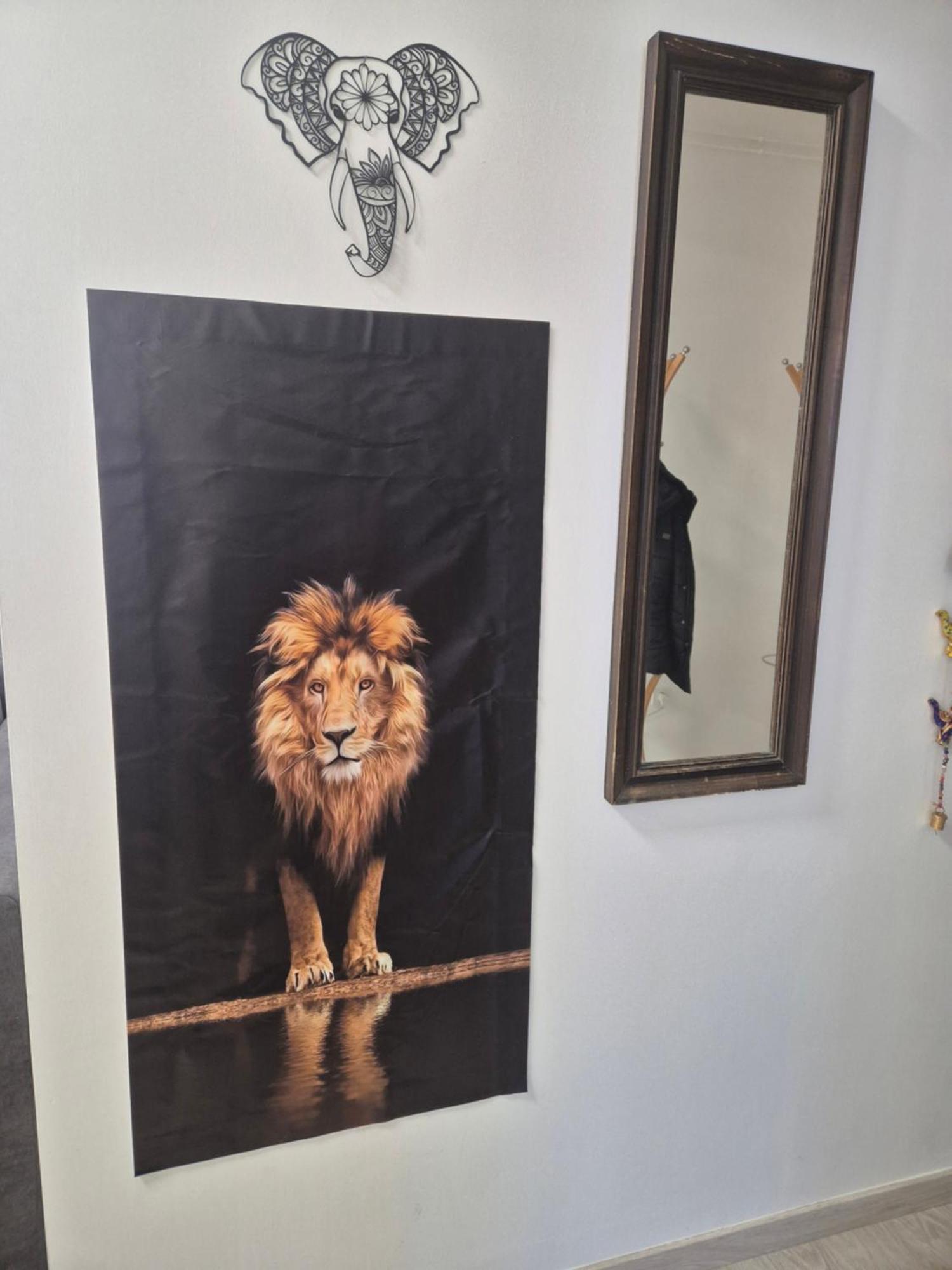 Apartmán Safari