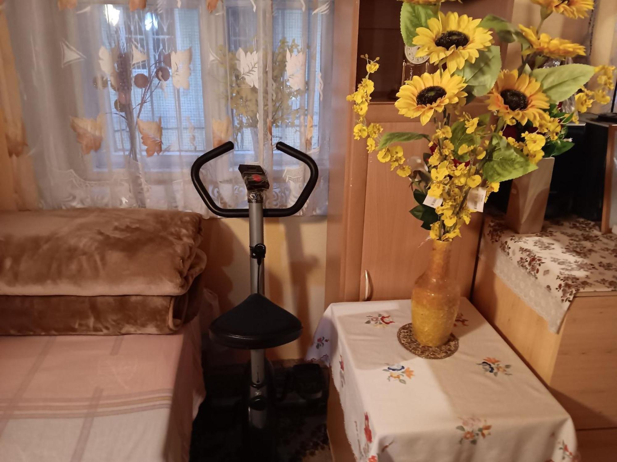 Homestay Budapest Central Apartment *
