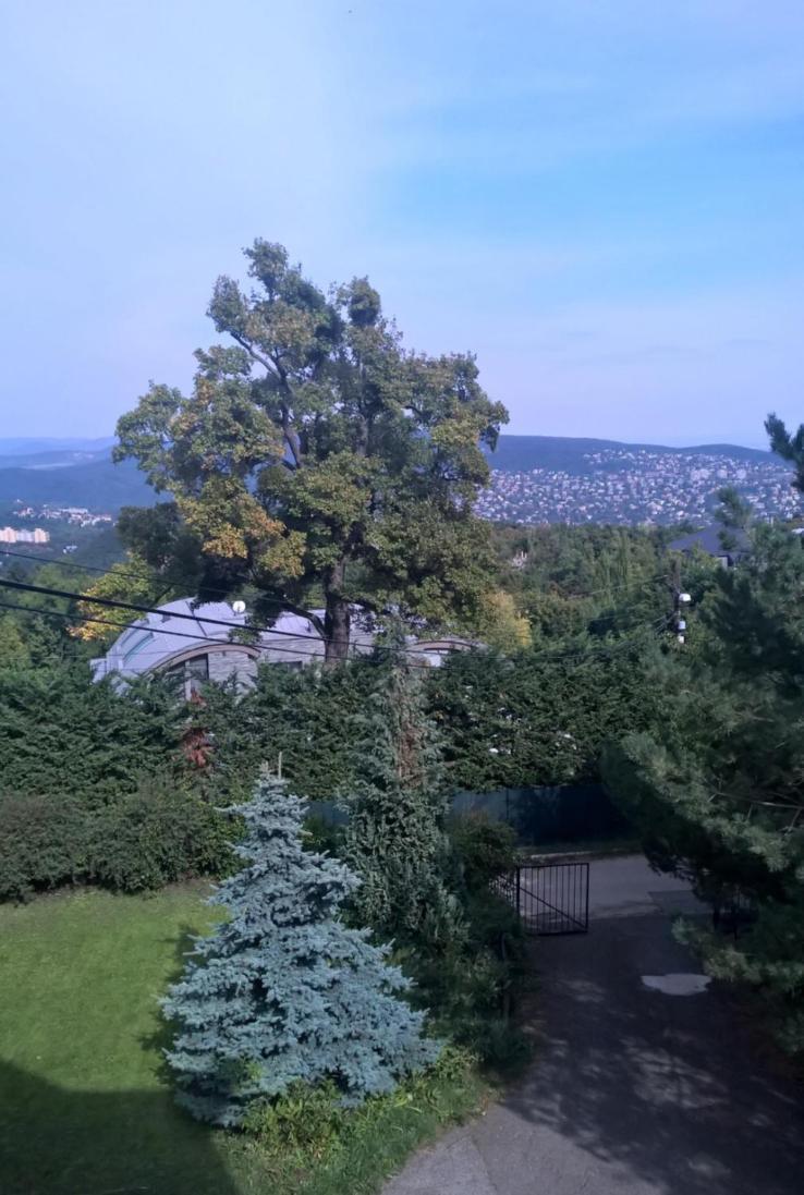 Apartment Romantic Two Bedroom In The Hills Of With Private Parking Budapest