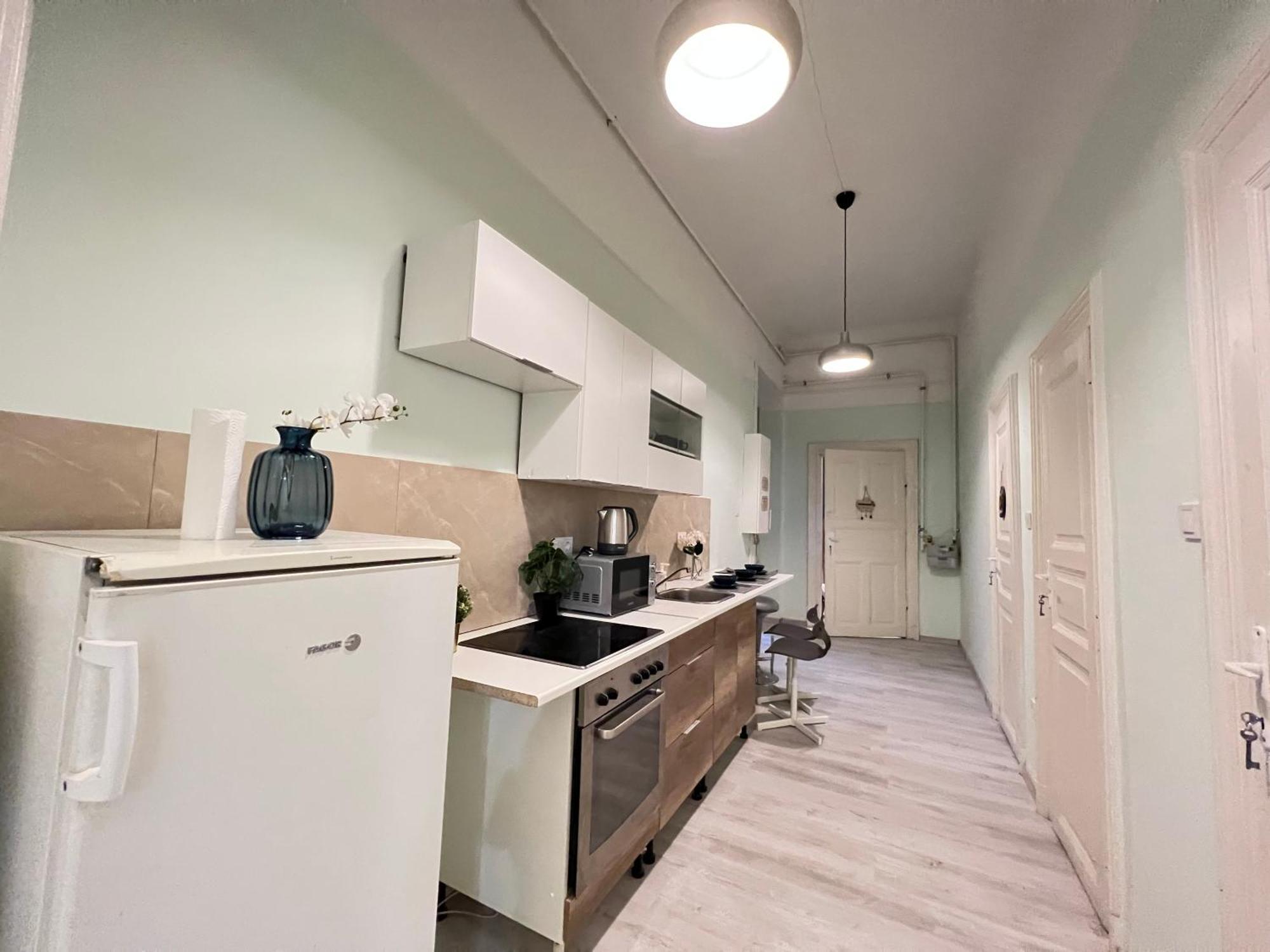 Baross With Convenience And Style * Budapest