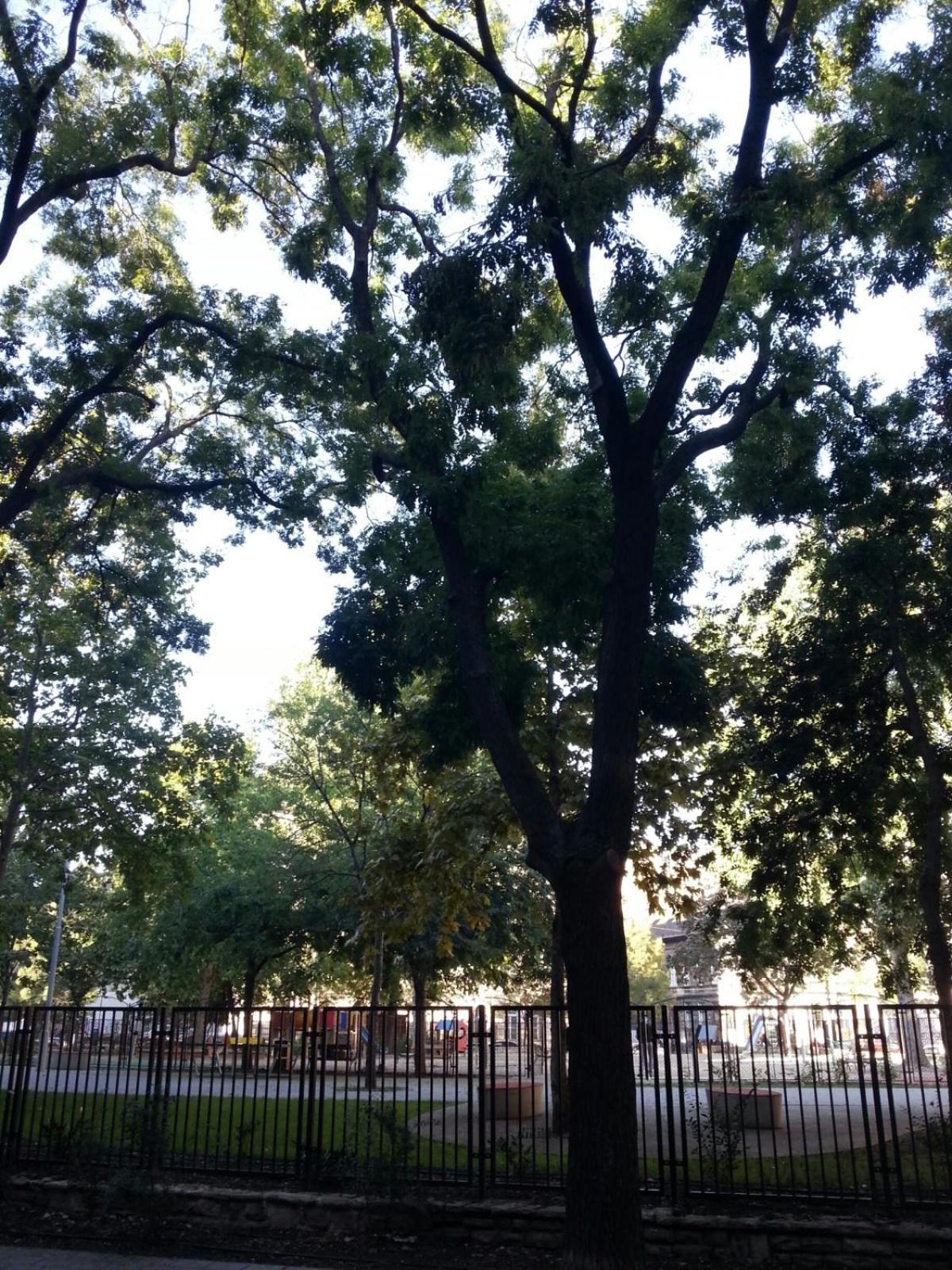 Apartment Sunny Facing The Park Budapest