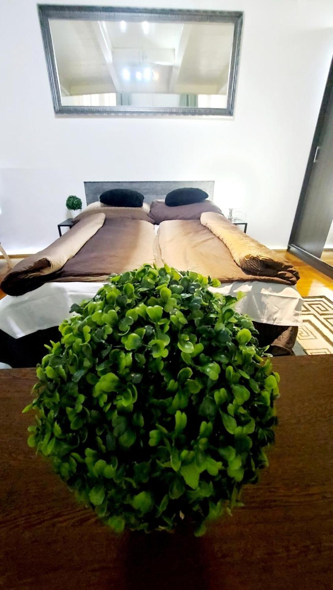 Apartamento Center Terrace *
