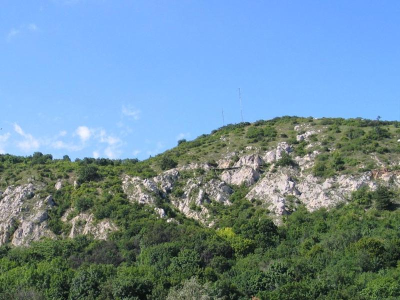 Ida Panzio * Budapest