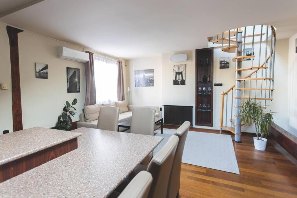 Klotild & Matild Floor In Downtown Apartment