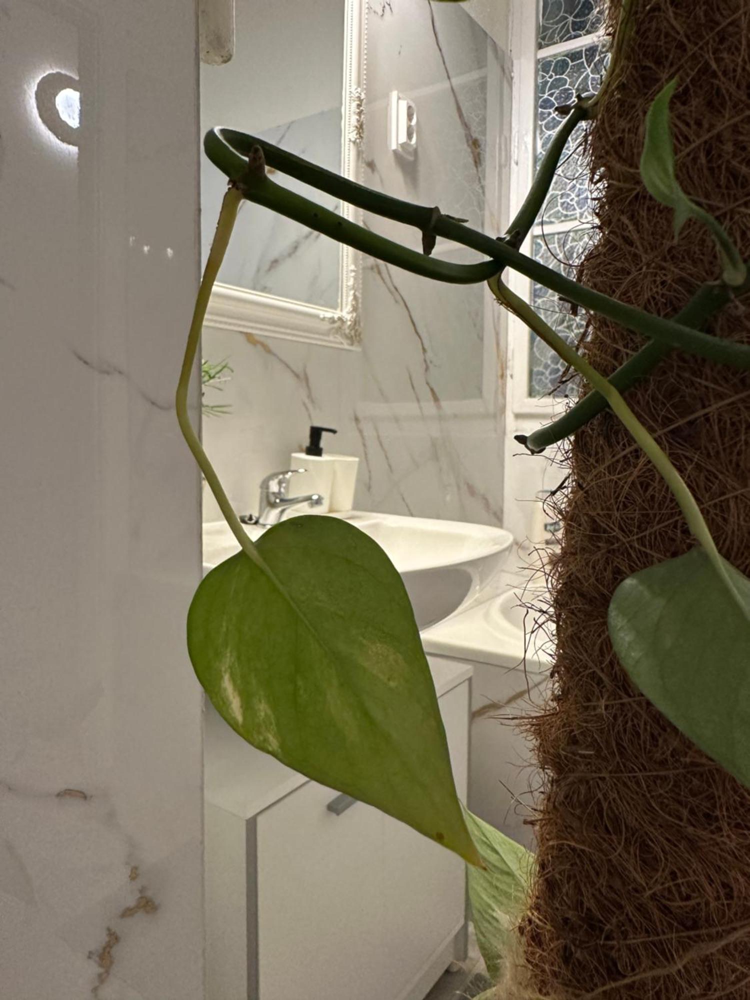 Appartamento Deri Corner By Downtown Budapest
