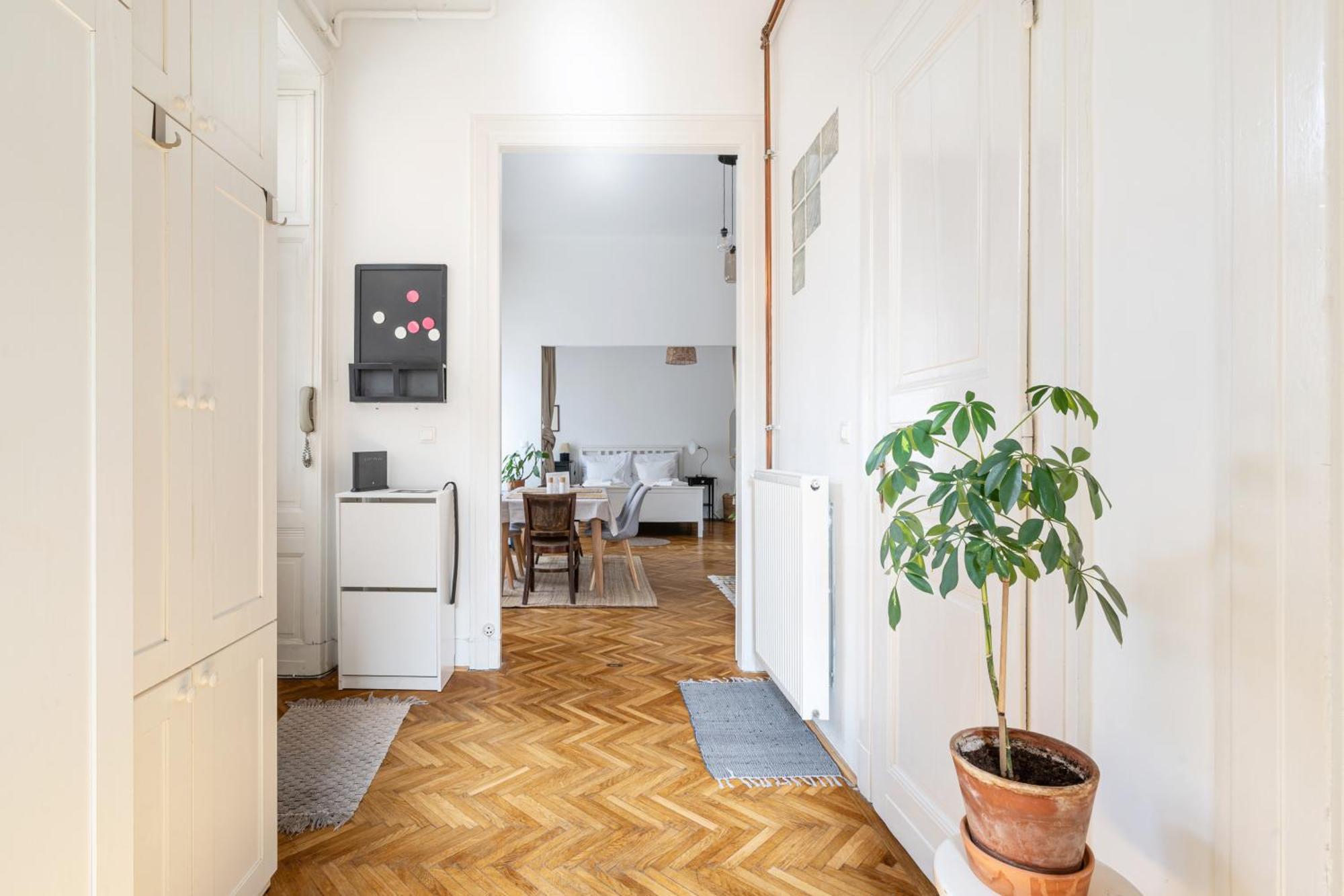 Cedar Budapest