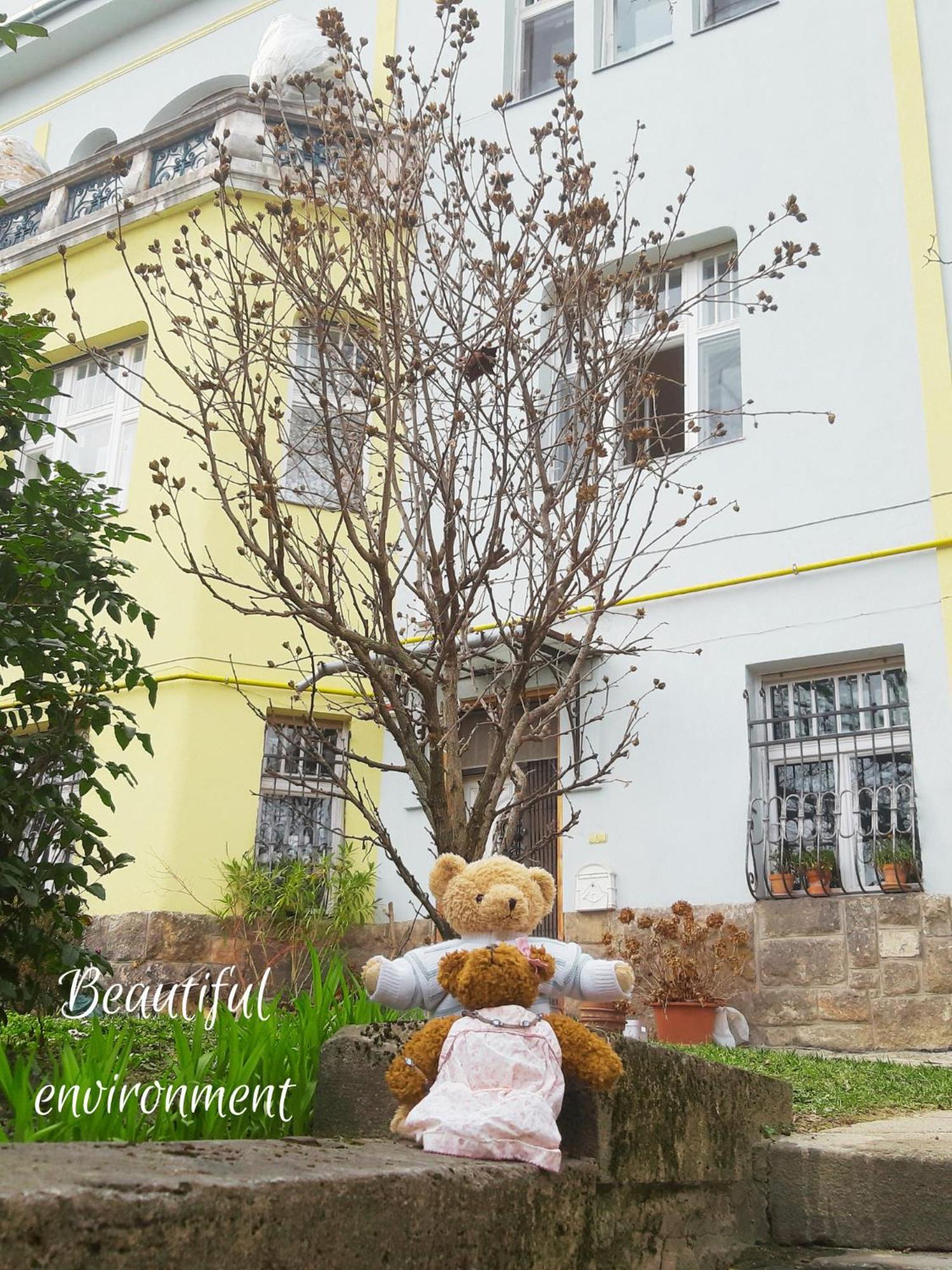 Hill * Budapest