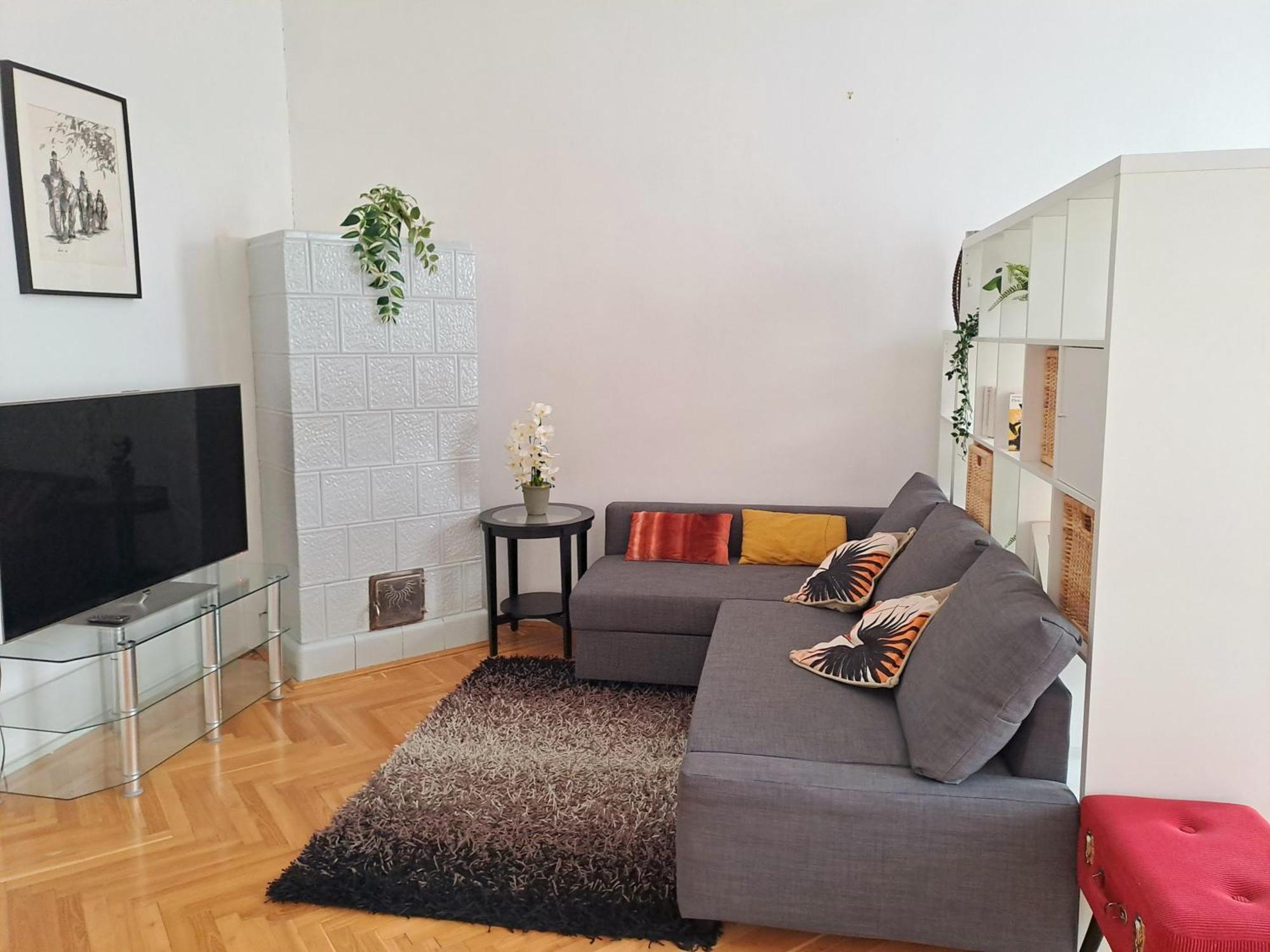 Sunny & Elegant Large Flat Next To Parliament Apartment