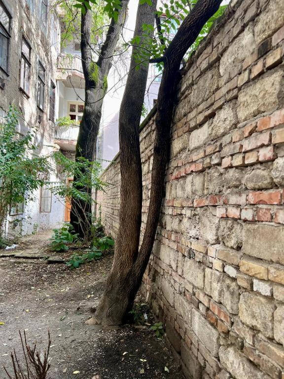 Apartman Gozsdu Court La Fontaine *
