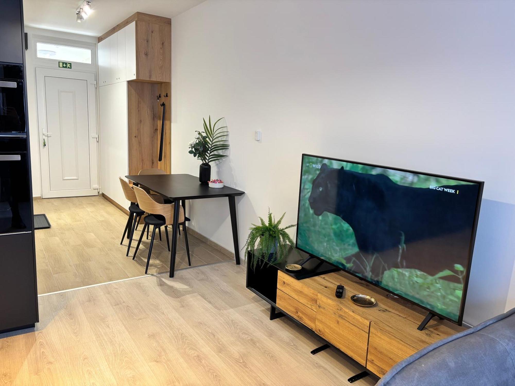 Spirit With Free Parking Apartment
