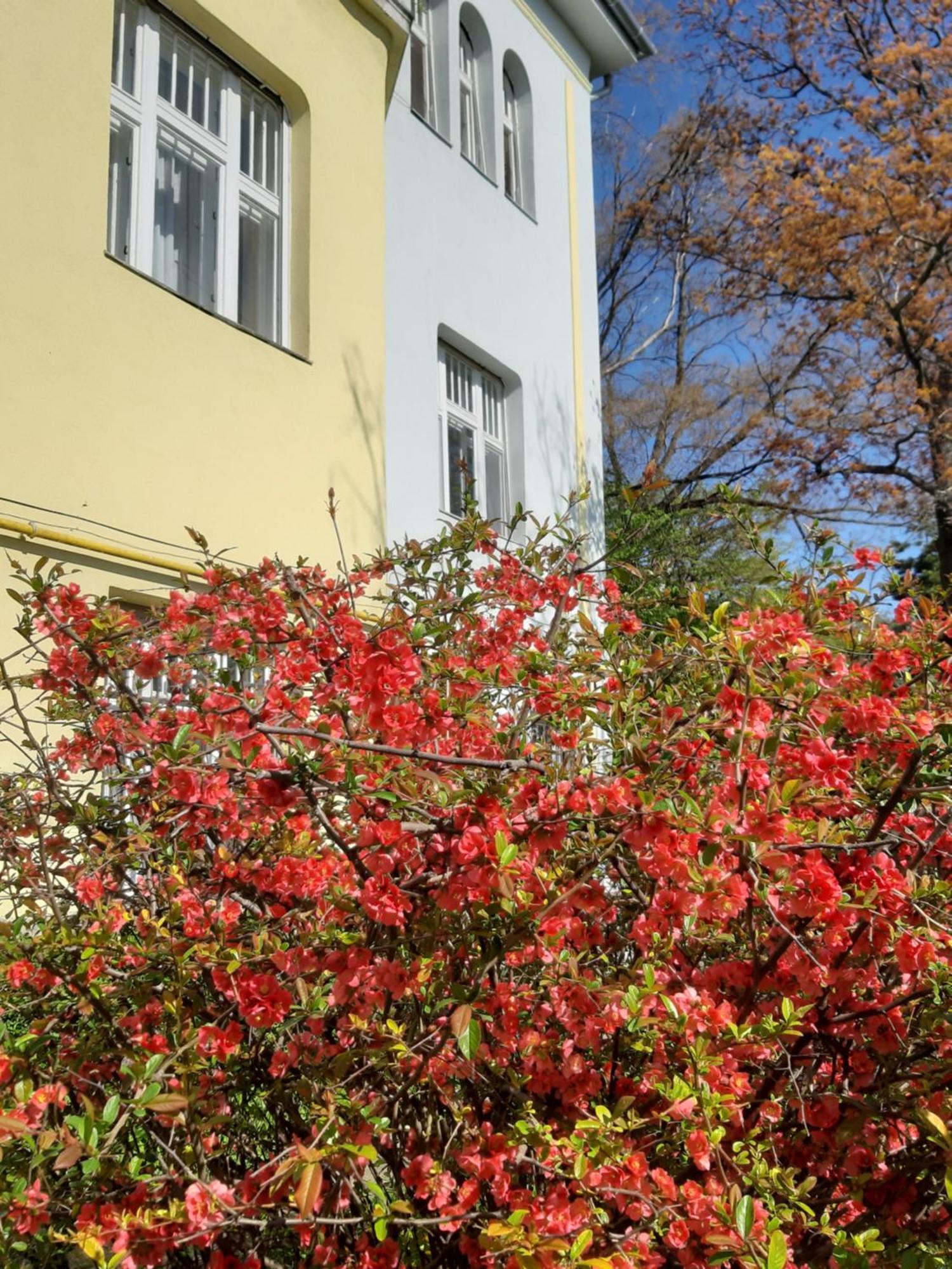 Appartamento Hill Budapest