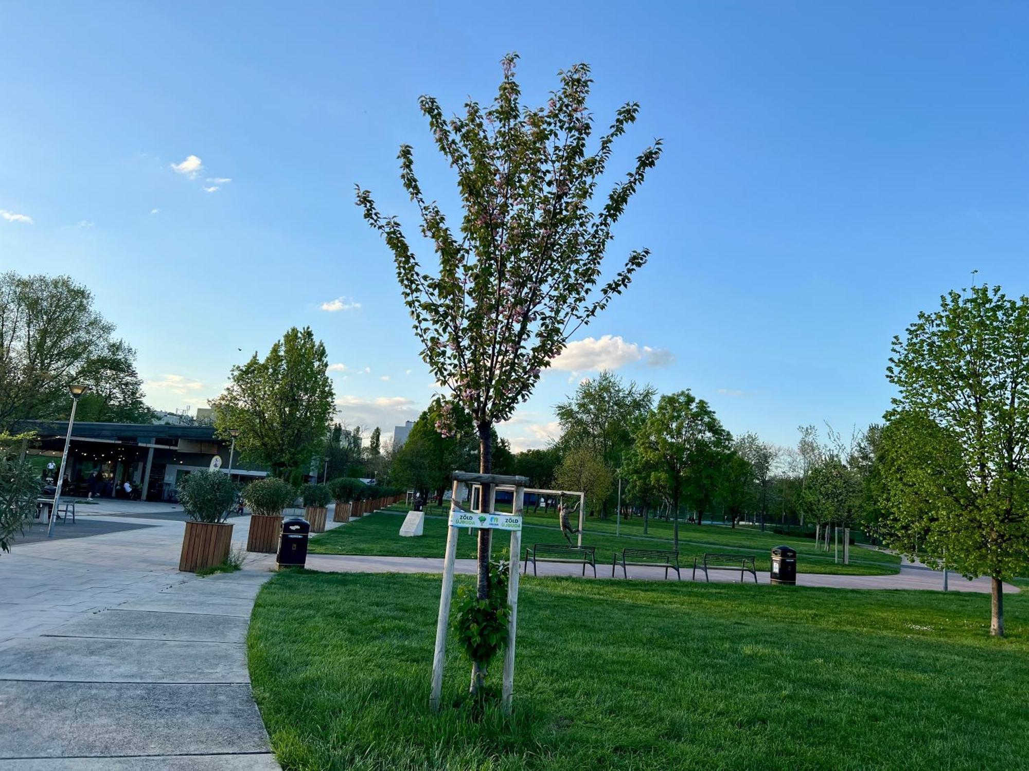 Park Appartamento
